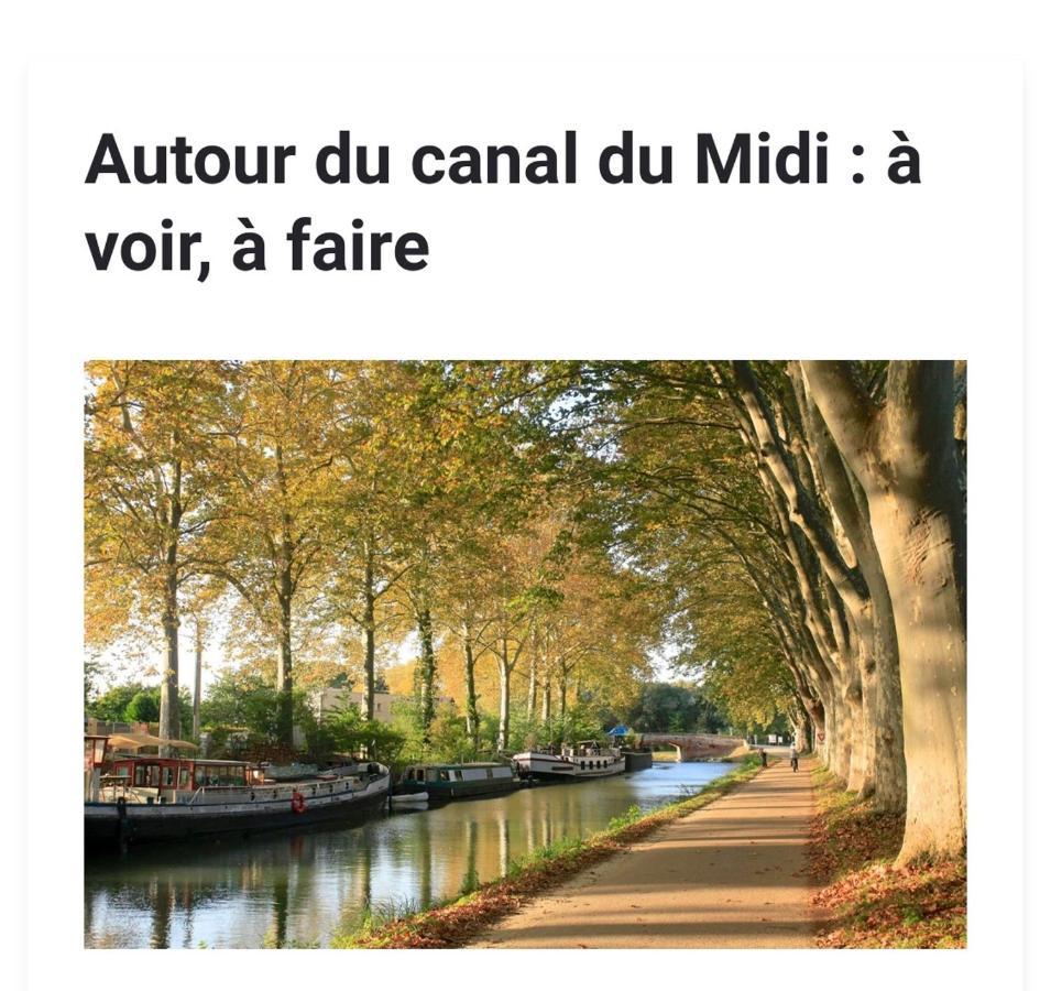 Les Iris Leilighet Carcassonne Eksteriør bilde